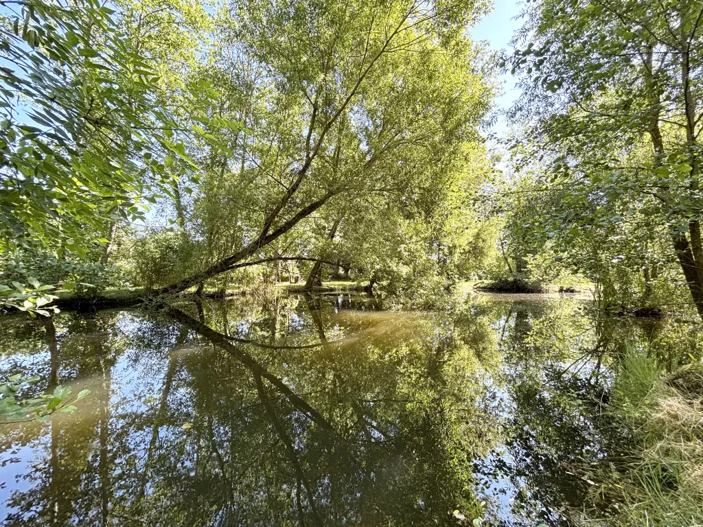 Propriété d’exception sur plus d’un hectare de terrain
