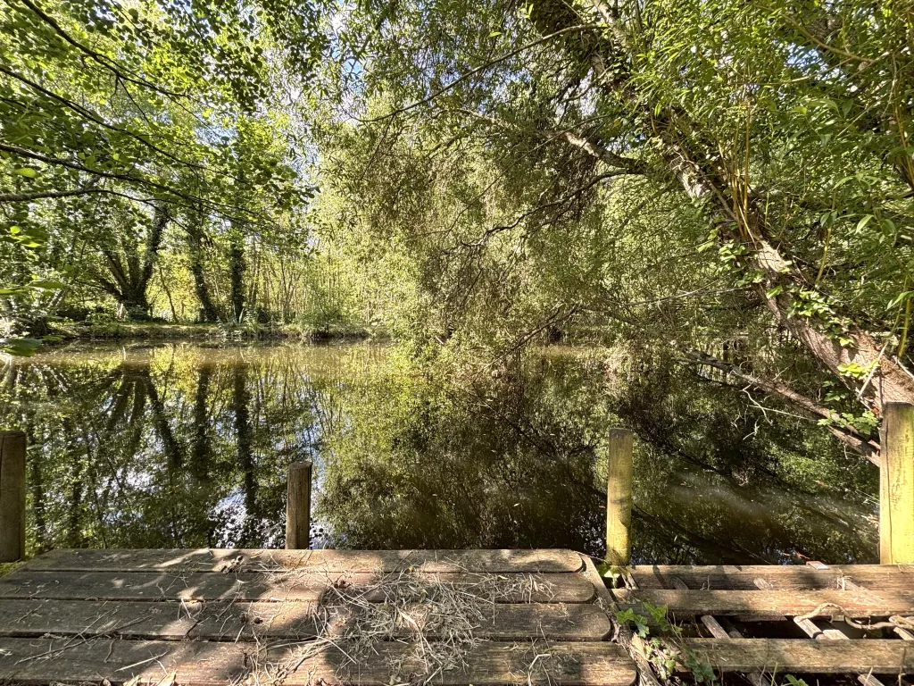 Propriété d’exception sur plus d’un hectare de terrain