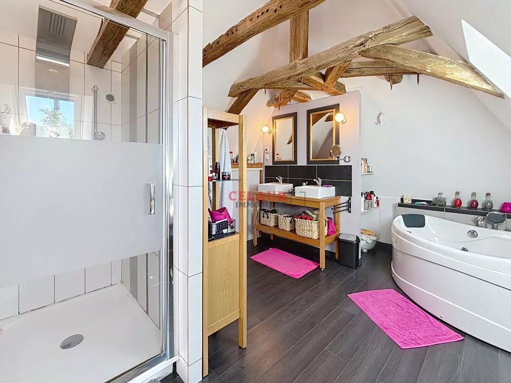 DOMAINE DE 10 HA : MAISON, GRANGE AMENAGEE, VUE, PISCINE